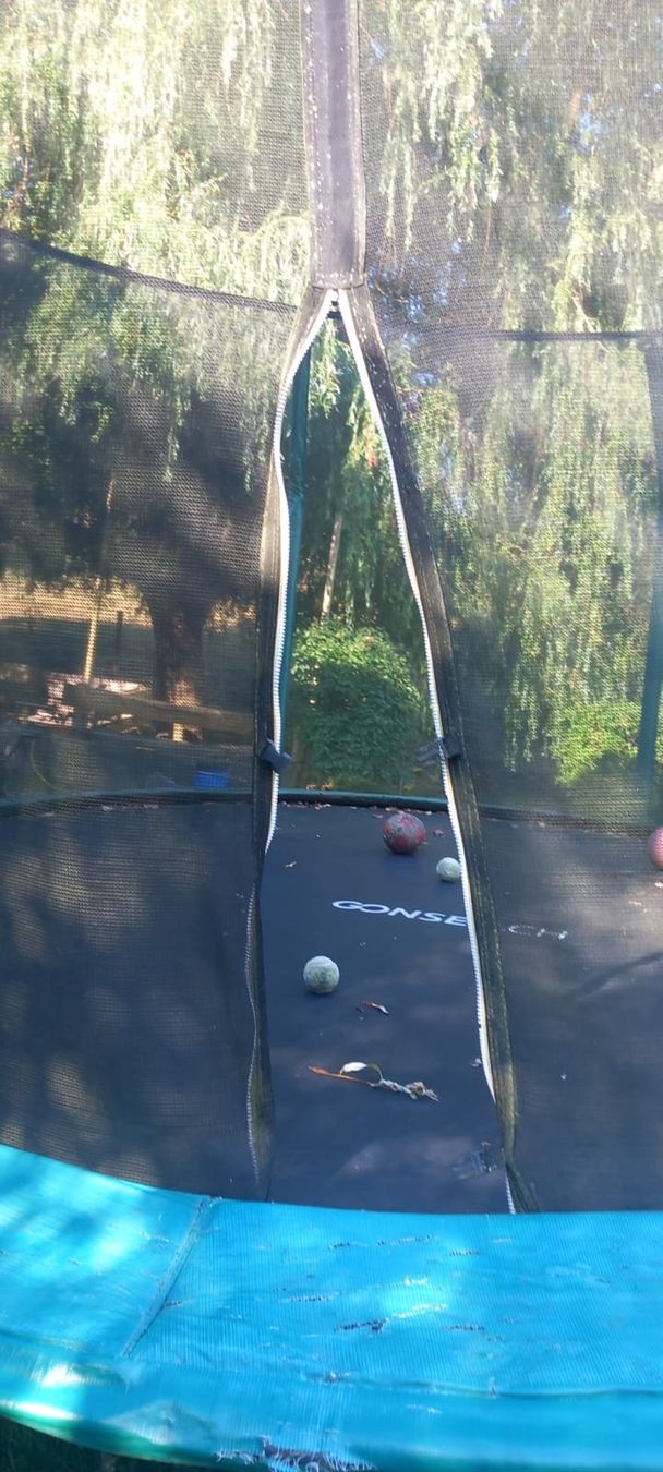 Trampolini: Trampolin – Usato da Ersigen venduto da Forstfichte 1