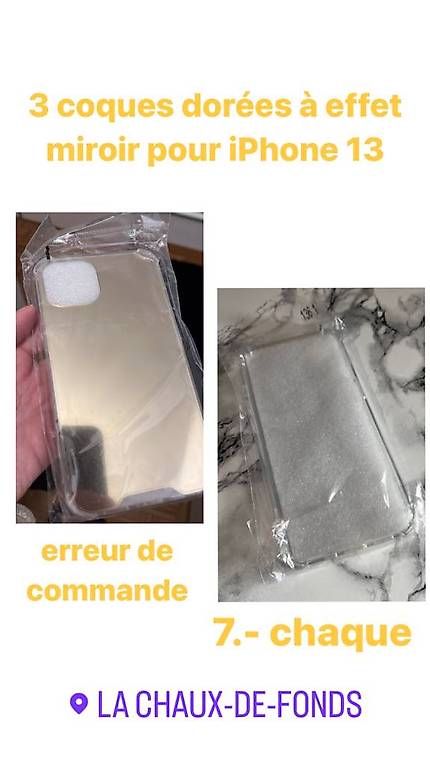 Cover & Protezioni schermo: 2 coques iPhone 13 – Usato da La Chaux-de-Fonds venduto da dianapsf