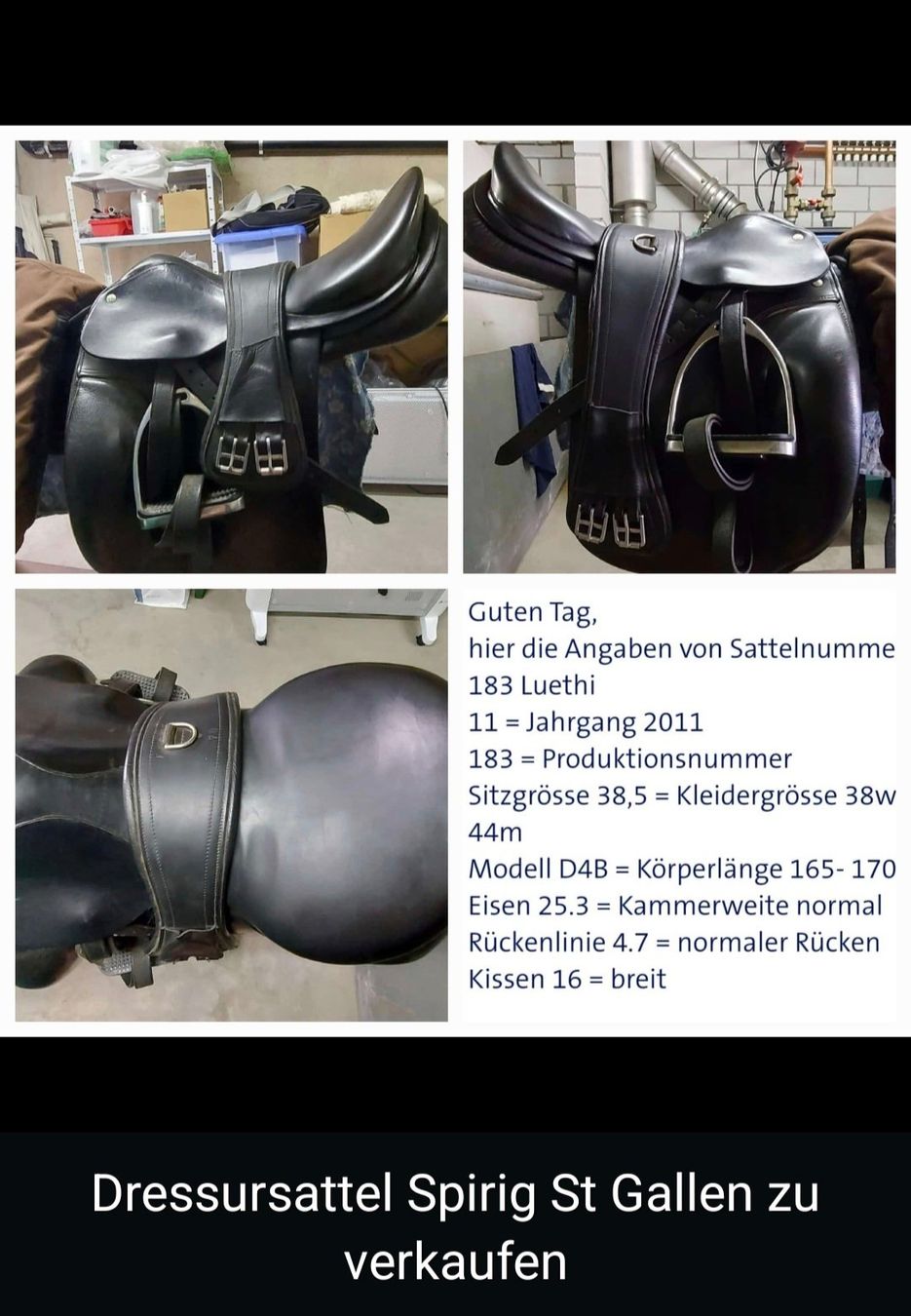 Selle & Accessori: Dressursattel – Usato da Subingen venduto da RR-DD