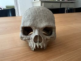 Dekorationsschädel,  guter Zustand, für Schlangenterrarium