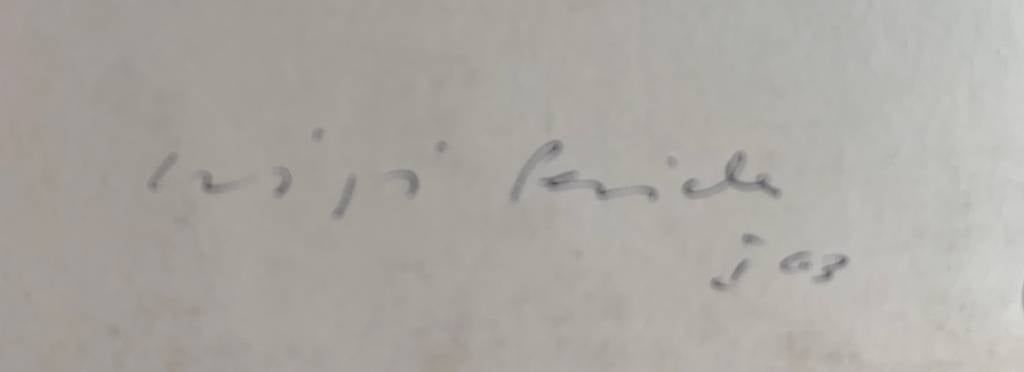 Dipinti: Luigi Pericle – Usato da Comano venduto da Mapoart 2