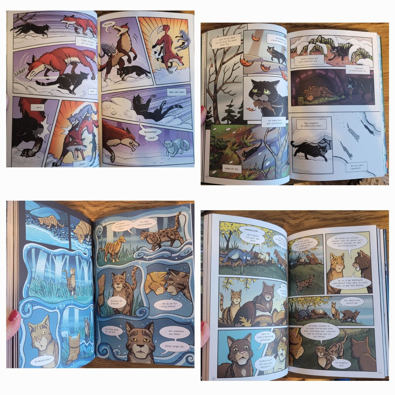 Comics: Warrior Cats Graphic Novels – Gebraucht aus Gelterfingen von  2