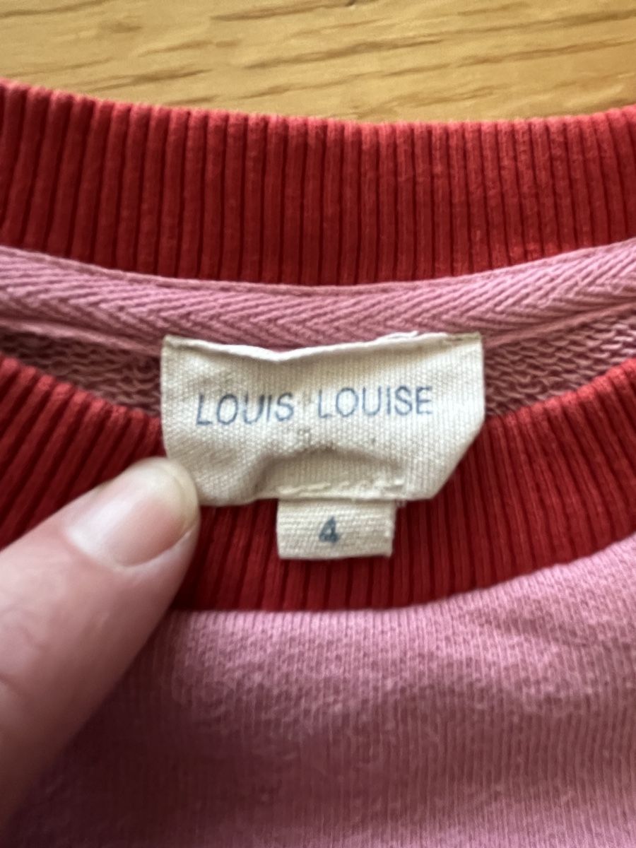 Pulls et sweat-shirts: Pull Louis Louise 4 ans – D'occasion à boudevilliers par Melzenruf 2