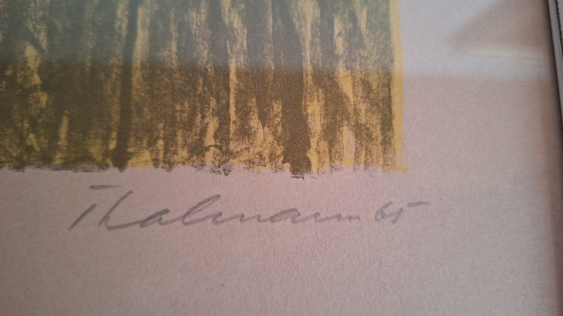 Grafica & Litografie: Bild signiert "Peter Thalmann " 65 – Usato da Dornach venduto da majo8689 1