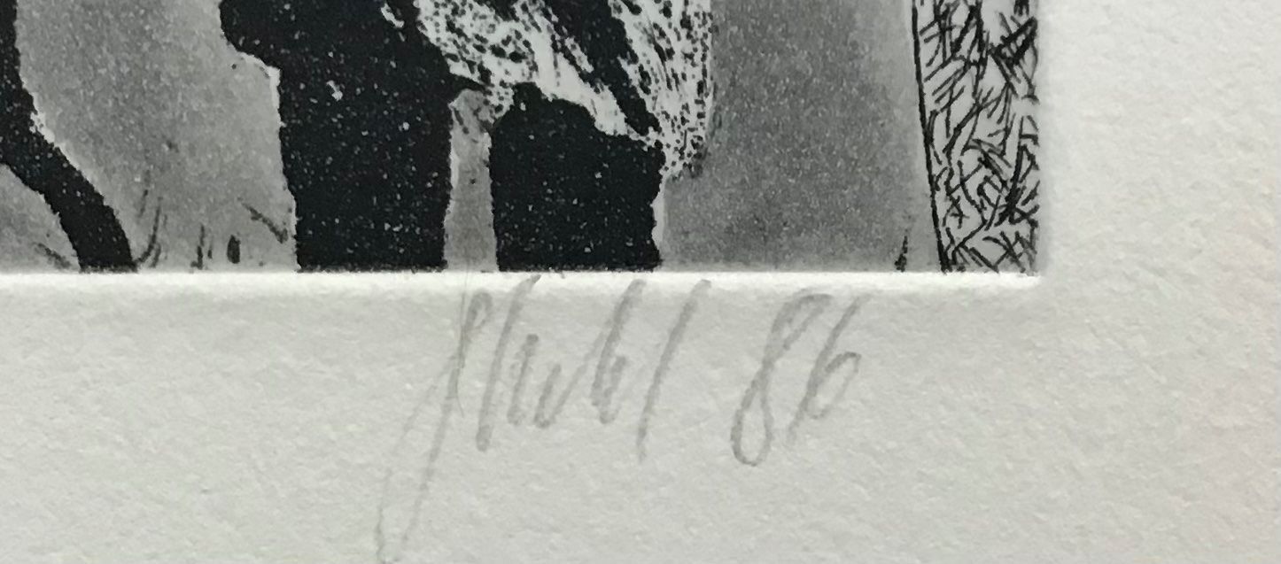 Grafica & Litografie: Peter STIEFEL RADIERUNG SIGNIERT NUMMERIERT – Usato da Gersau venduto da grafik-kunst 2