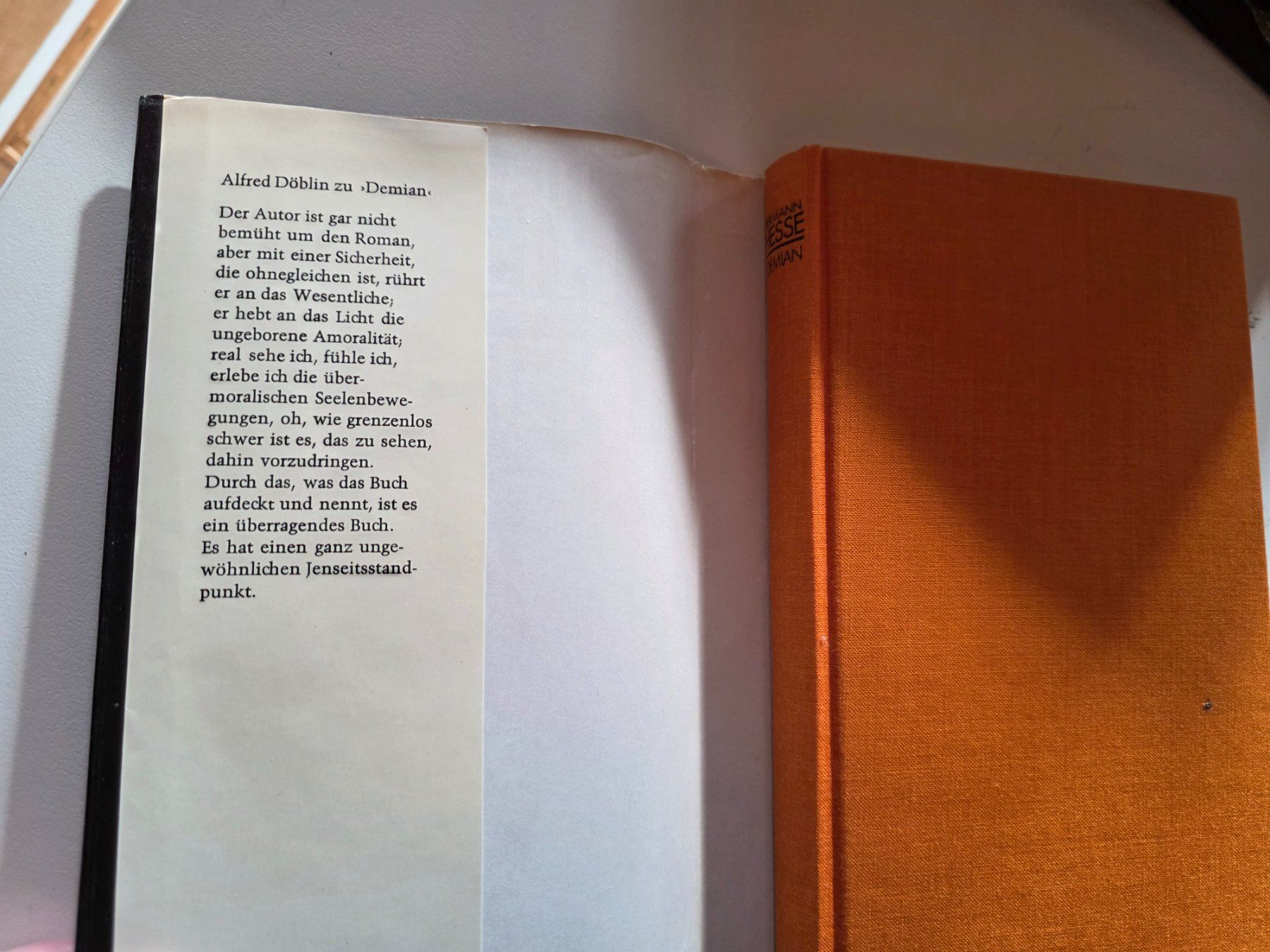 Libri: Hermann Hesse Demina - suhrkamp Buch – Usato da Walterswil BE venduto da Lonitti 1