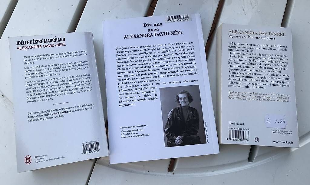 Libri: Alexandra David-Néel – Usato da Estavayer-le-Lac venduto da mar_2s6b 1