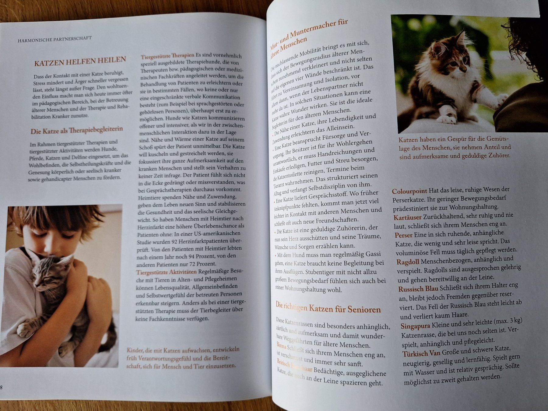 Libri: Katzensprache - verstehen lernen von Gerd Ludwig – Nuovo (secondo la descrizione) da Eiken venduto da Lashar 4