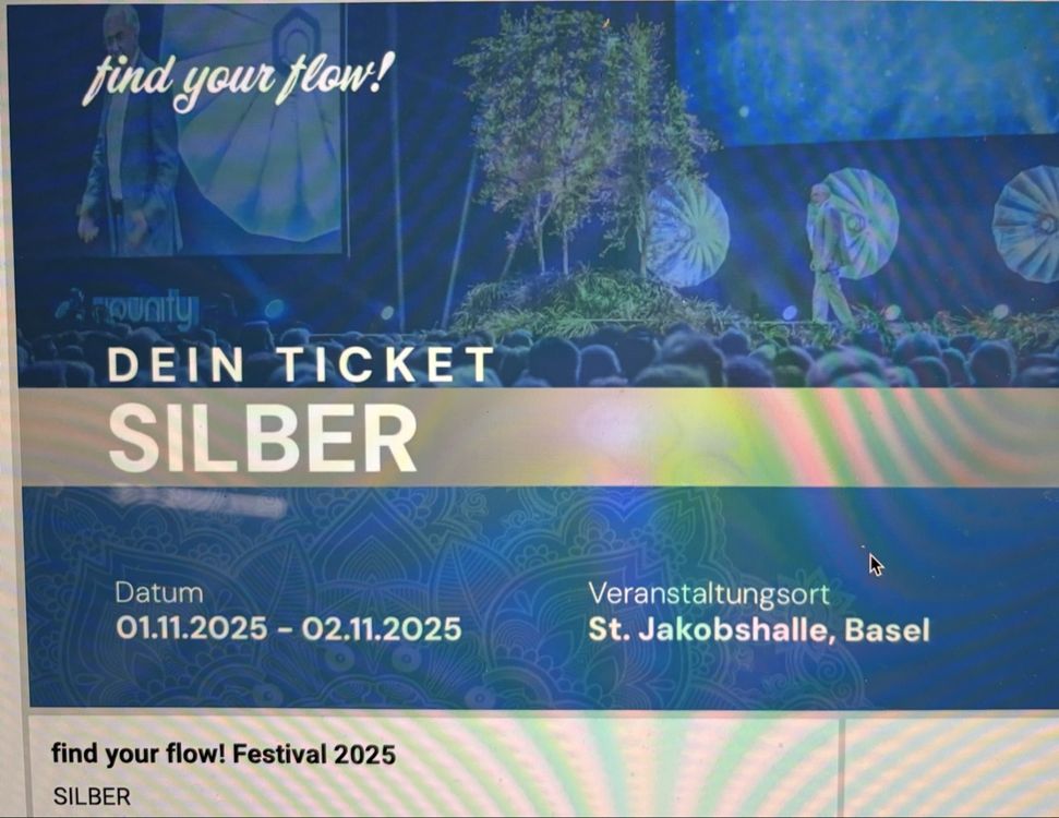 Find Your Flow! Festival 2025, Basel - Silber Ticket (Neu und ...