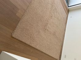 Teppich Parade, Beige, sehr gut erhalten, 200 x 290 cm