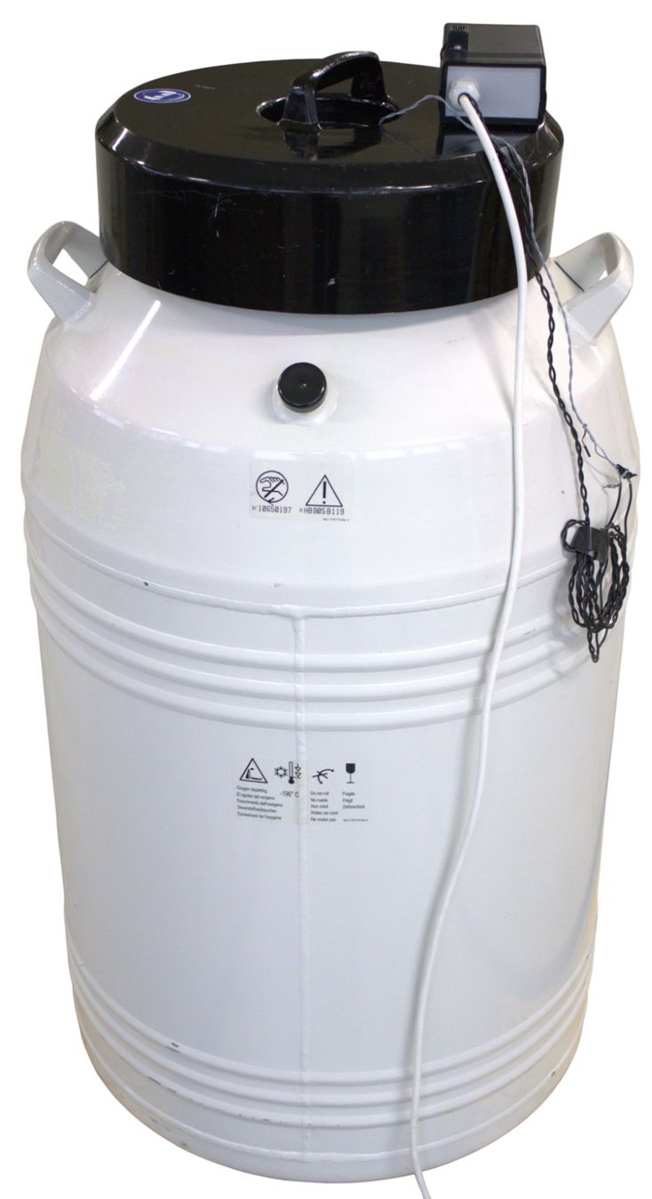 Tutte le macchine: MVE CryoSystem 4000 Cryogenic Storage Dewar – Usato da Reinach BL venduto da Re-LifeAG_Labor 1