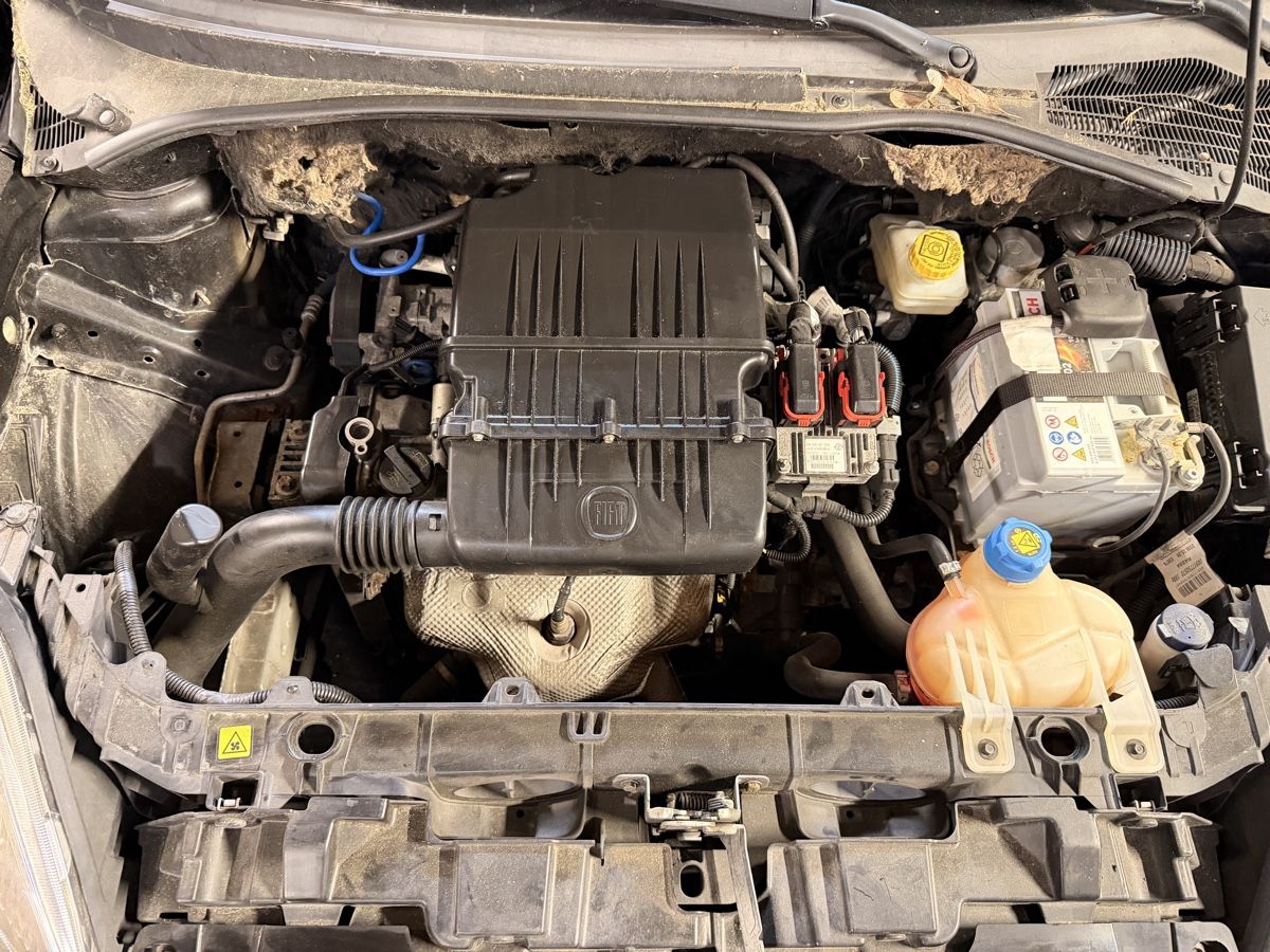 Fiat Automobili: Fiat Punto 1.4 8V – Usato da Amriswil venduto da mak_v9kw 8