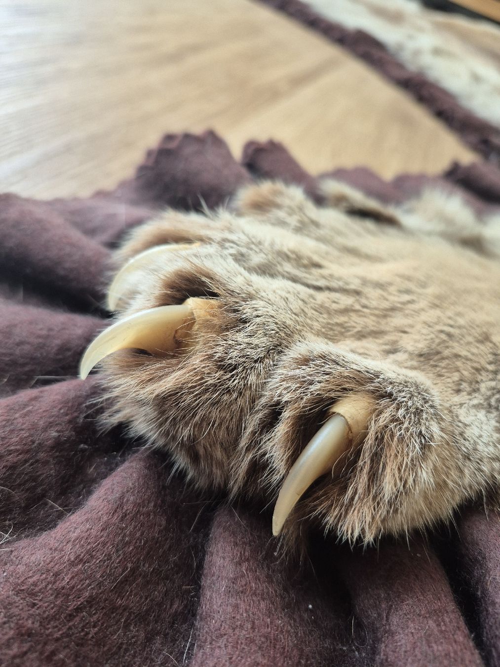 Welt der Tiere: Fellvorleger – Neu (gemäss Beschreibung) aus Flums von TheNorthMan 2