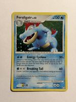 Pokemon Feraligatr Holo 008/123 EN