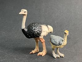 Schleich Strauß und Straussenjunges Strauss