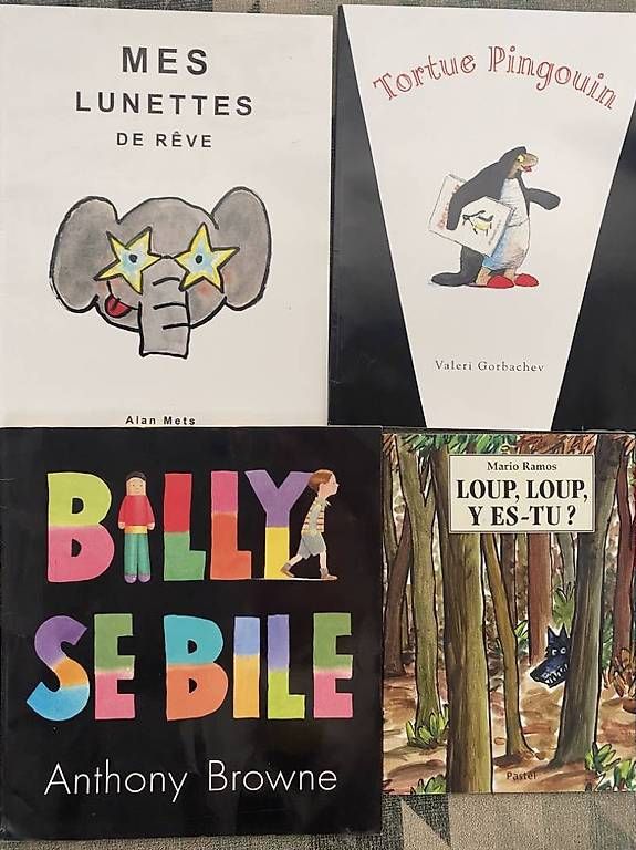 Bücher: Livre pour enfants – Gebraucht aus Leytron von nat_8fvq