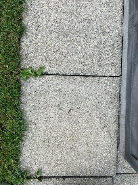 Rivestimenti per pavimenti: Gartenplatten Beton grau 50x50cm – Usato da Siebnen venduto da Kochfamilie 7