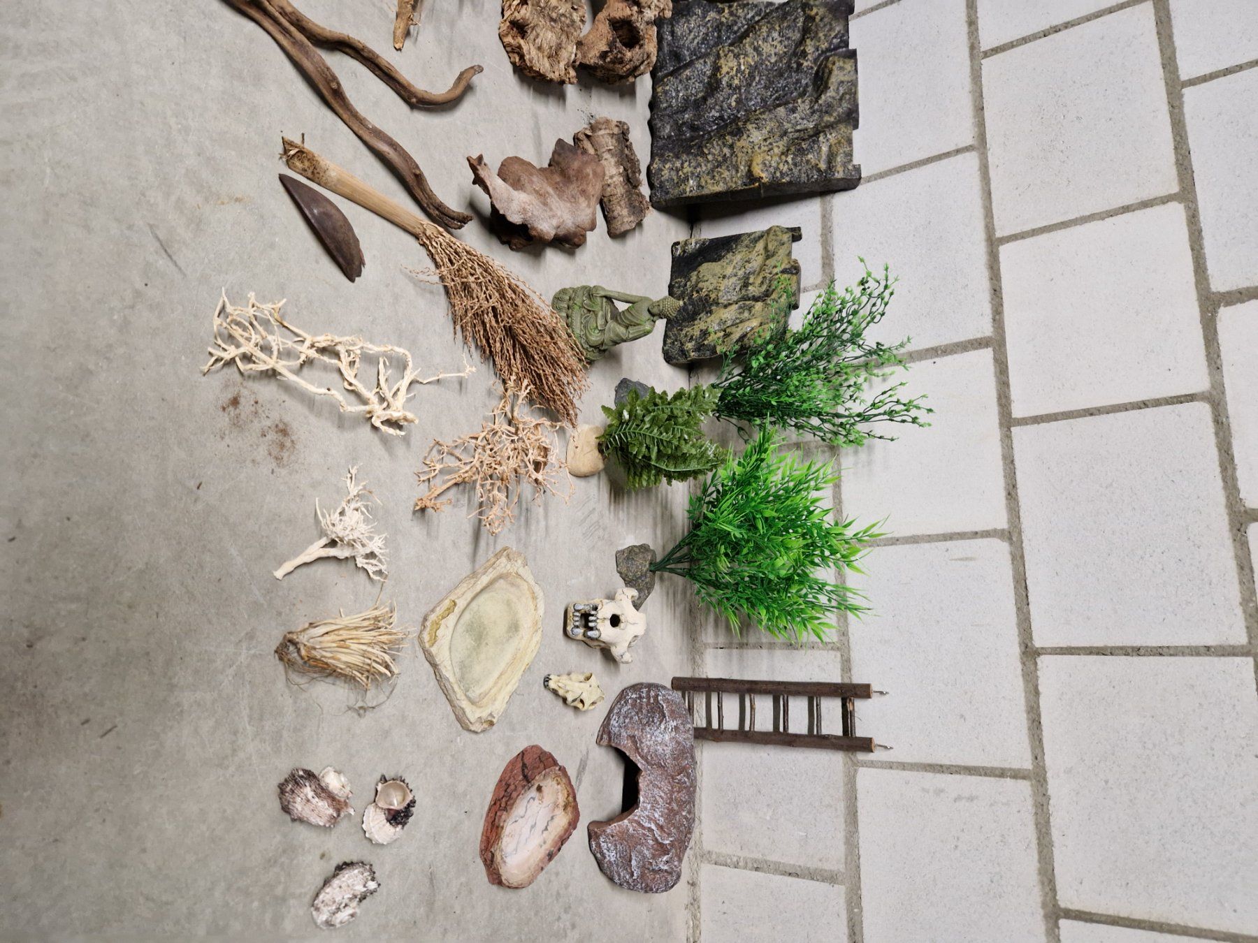 Exo terra Terrario: Terrarium zu Verkaufen – Usato da Niederönz venduto da nydi65 4