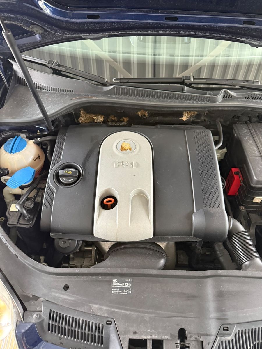 VW Automobili: VW Golf 1.6 FSI 115 PS – Usato da Spreitenbach venduto da alf_y7v5 6