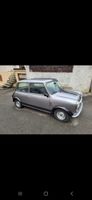 mini austin 1000 (1981)