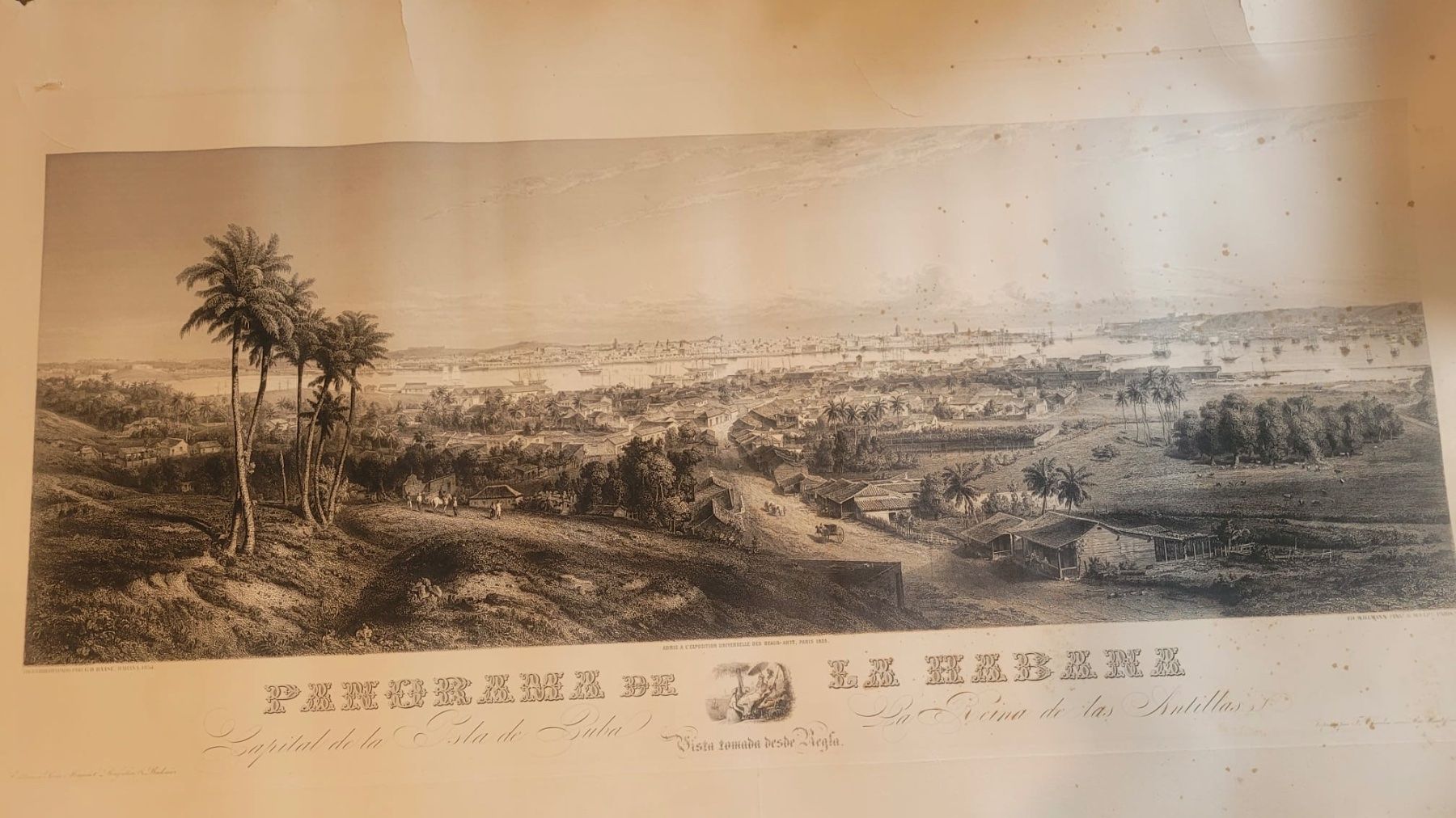 Grafica & Litografie: Lithographie La Havane année 1855 – Usato da Gryon venduto da kik_9pqm