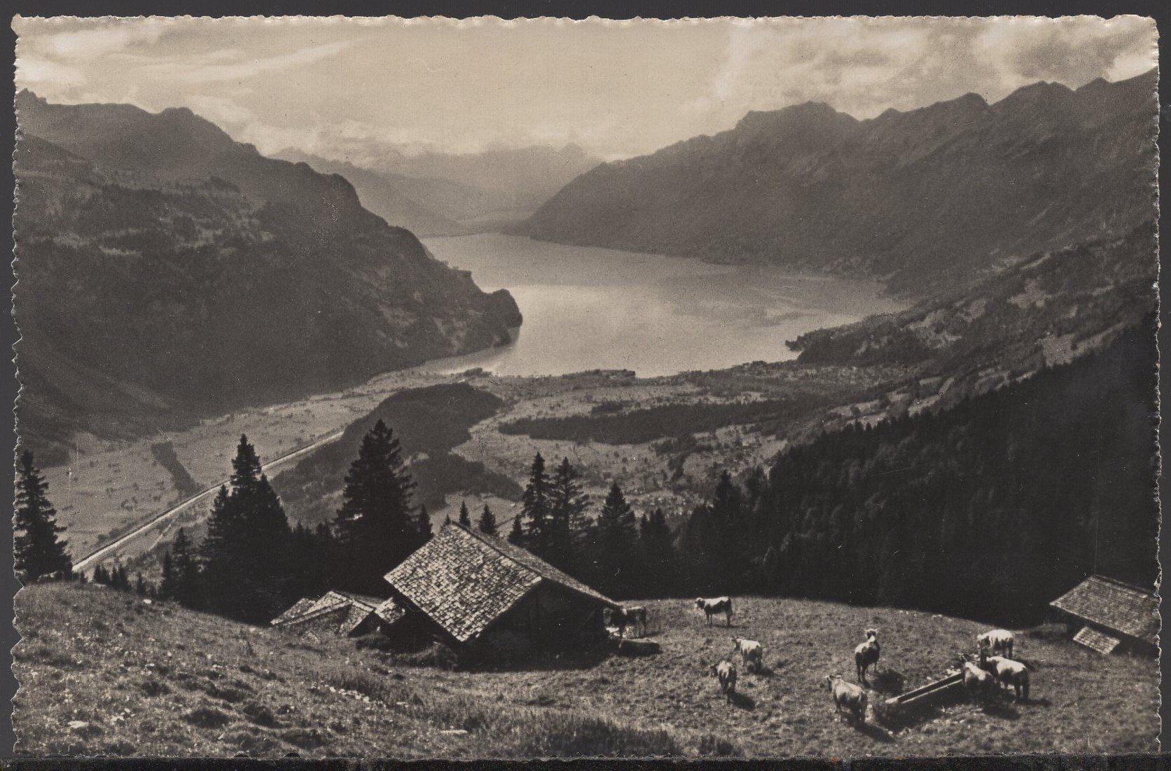 Ansichtskarten: Höhenweg  Brünig - Rothorn – Gebraucht aus Aarau von kufi44