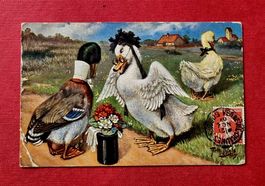 Arthur Thiele - Gans und Ente - 1909