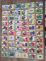 Panini