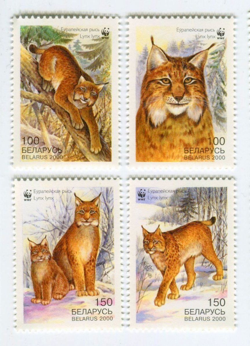 Tutti i francobolli: Briefmarken "Luchs". Weissrussland. – Nuovo e nell'imballaggio originale da Basel venduto da Butsch5