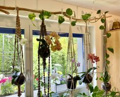 🌿 Handgemachte Makramee-Pflanzenaufhängung auf Holzstange