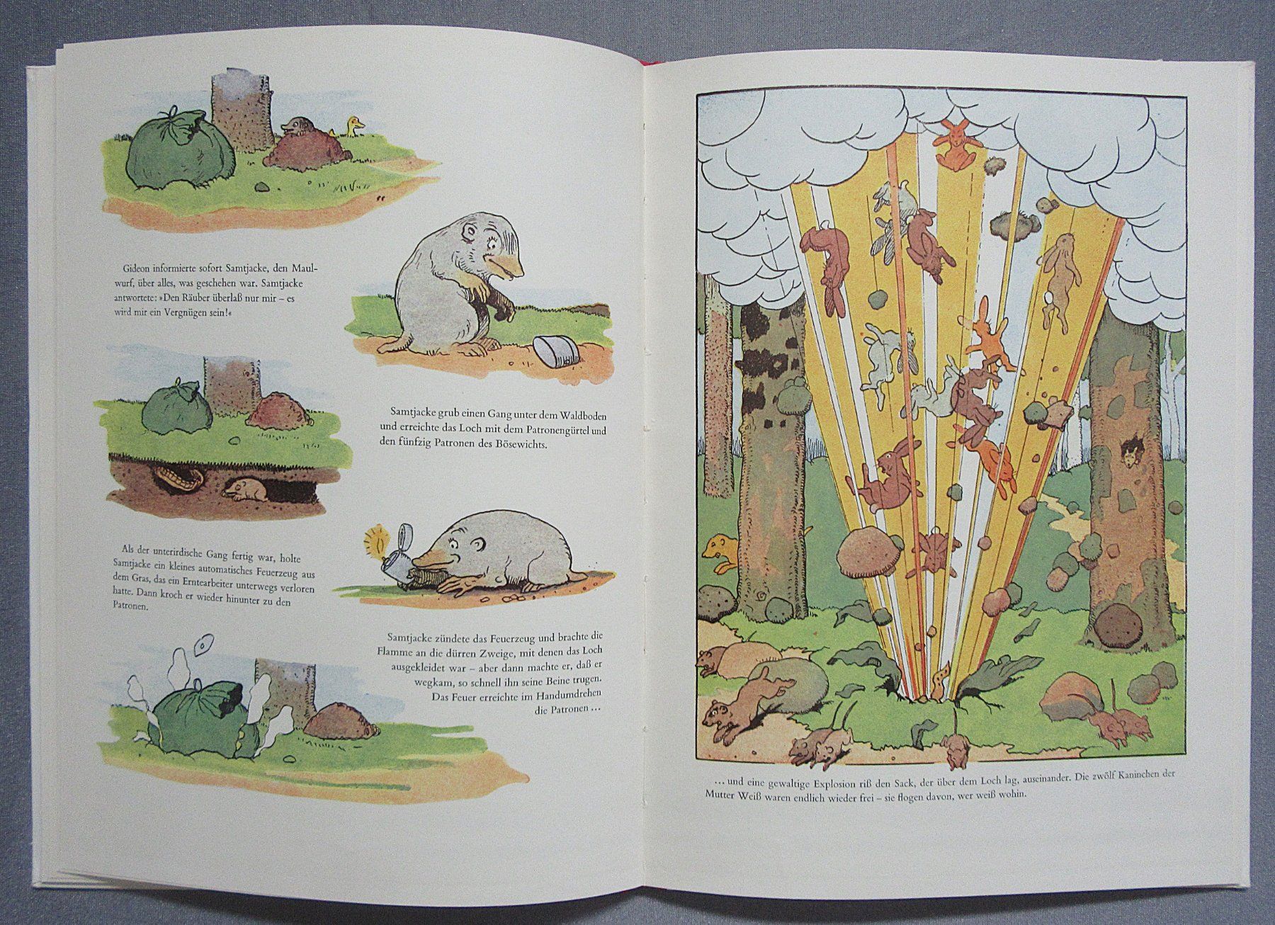 Libri: Gideon im Wald - Ein Diogenes Kinderbuch – Usato da Auenstein venduto da Padabimbim 5