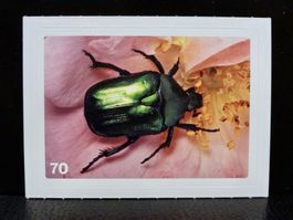 MIGROS MANIA Nature Detectives Nr. 70