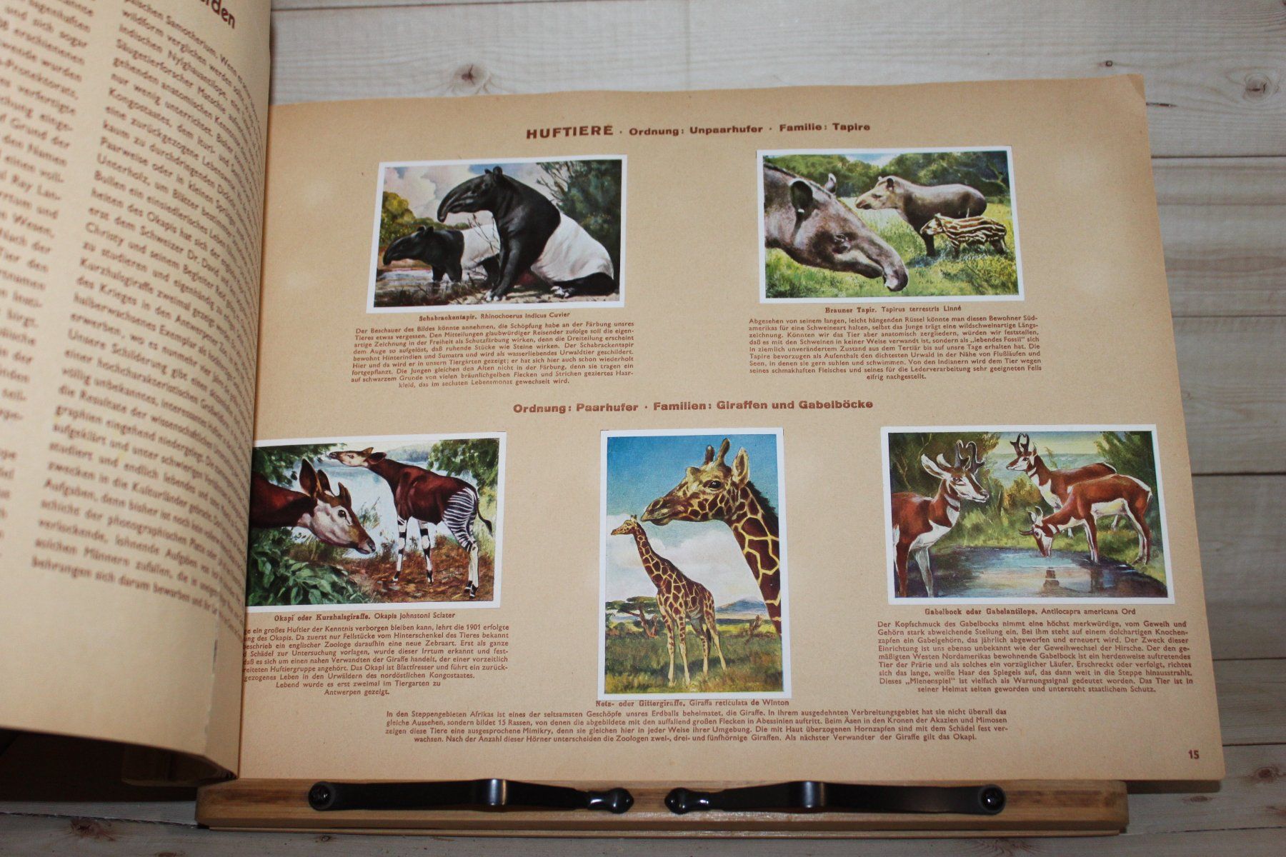 Album: Zigarettenbilderalbum - Wunder der Tierwelt Grossformat – Usato da Kaden venduto da Buchantiquariat 2