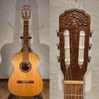 Akustik Gitarre Giannini AWN 31