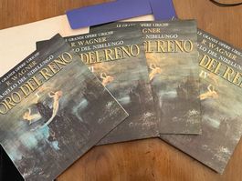 🎼 Richard Wagner Vinyl Sammlung – 18 LPs – Rarität