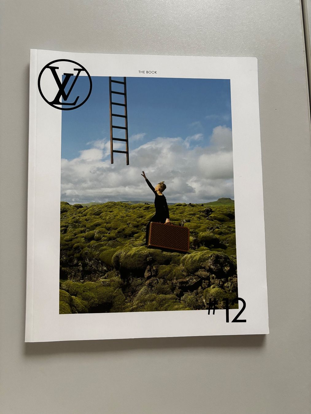 Libri: Louis Vuitton Katalog The book #12 – Nuovo (secondo la descrizione) da Hägendorf venduto da Moro143