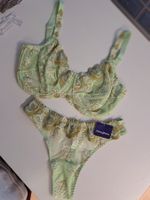 BH 75 F und String 38 Prima Donna