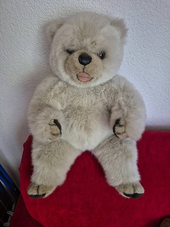 Spielzeuge: Wunderschöner kuscheliger, sitzender Teddybär – Gebraucht aus Erlenbach ZH von gui_6zw8 1