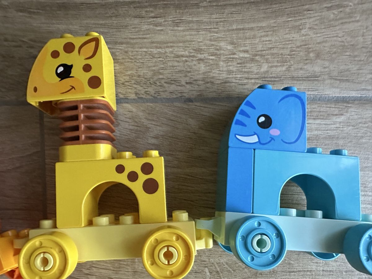 Lego Giocattoli: Lego Duplo Tierzug – Usato da St. Gallenkappel venduto da sunne88 2
