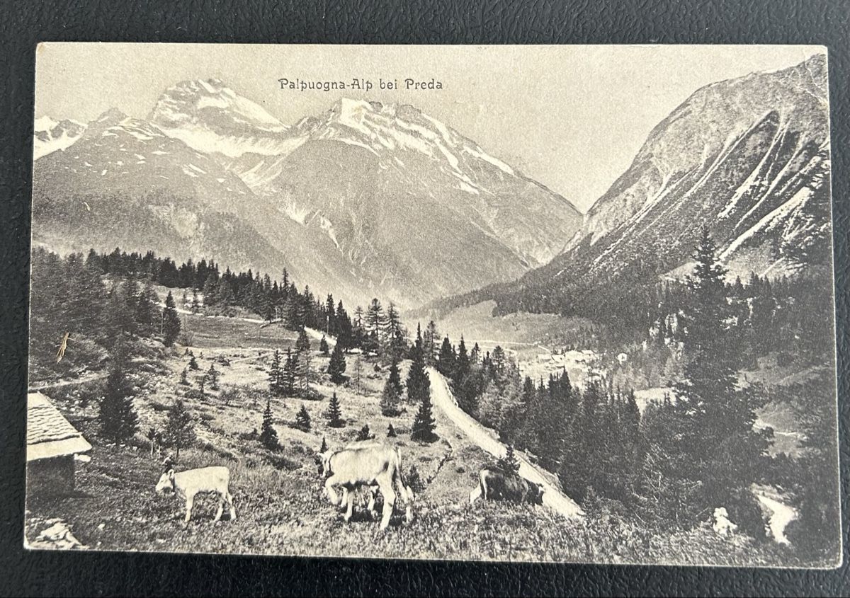 Cartes postales: Palpuogna - Alp bei Preda  – D'occasion à Horw par Tellbub