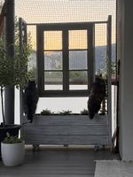 Blumenkasten