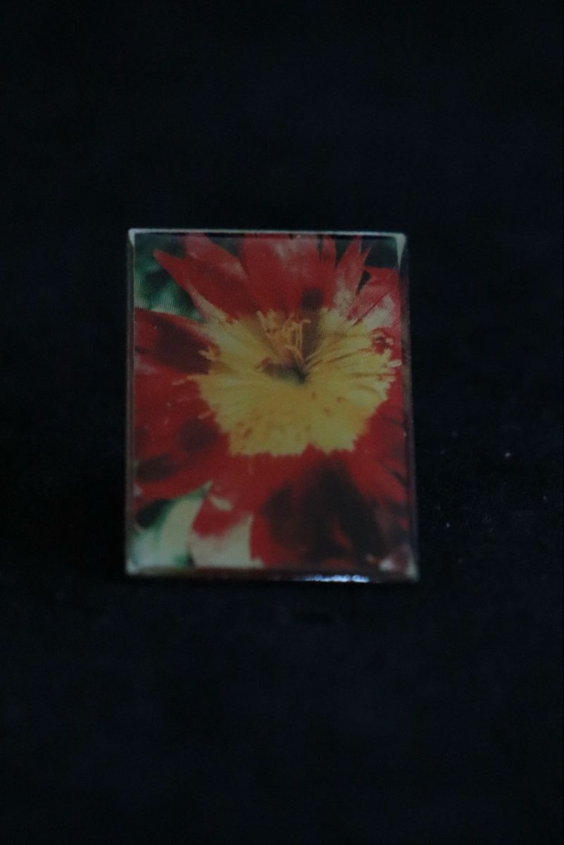 Placchette & Badge: Blumen PIN‘s – Usato da Ottenbach venduto da siiinnaa_77 3