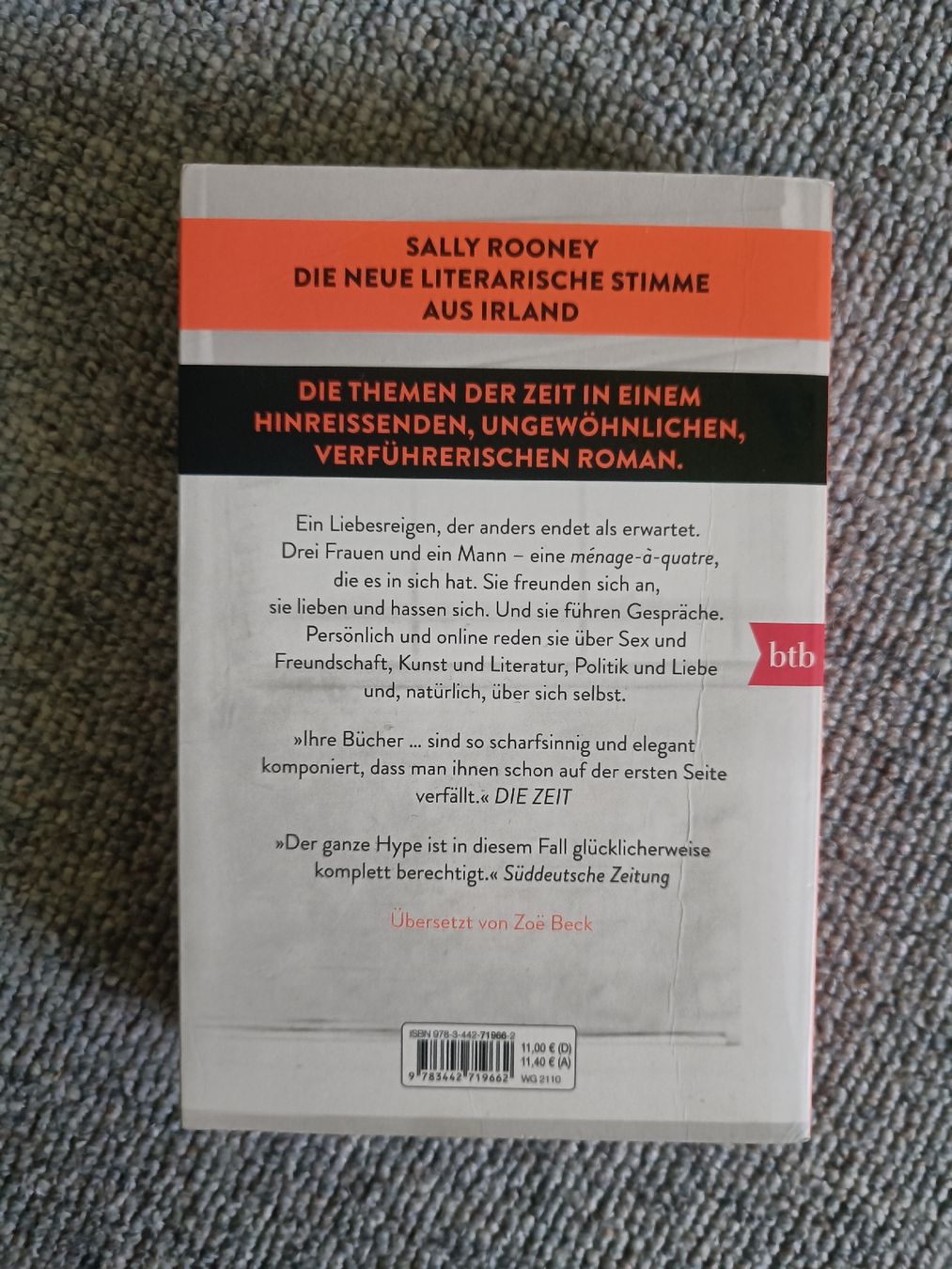 Libri: Sally Rooney Gespräche mit Freunden – Usato da Jaberg venduto da urig17. 1