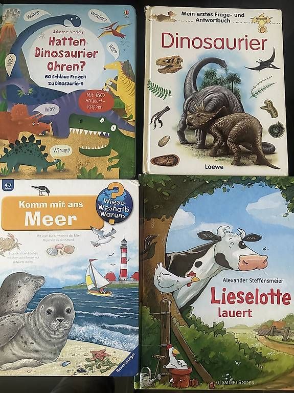 Livres: Kinderbücher  4er-Set – D'occasion à Eglisau par magier007