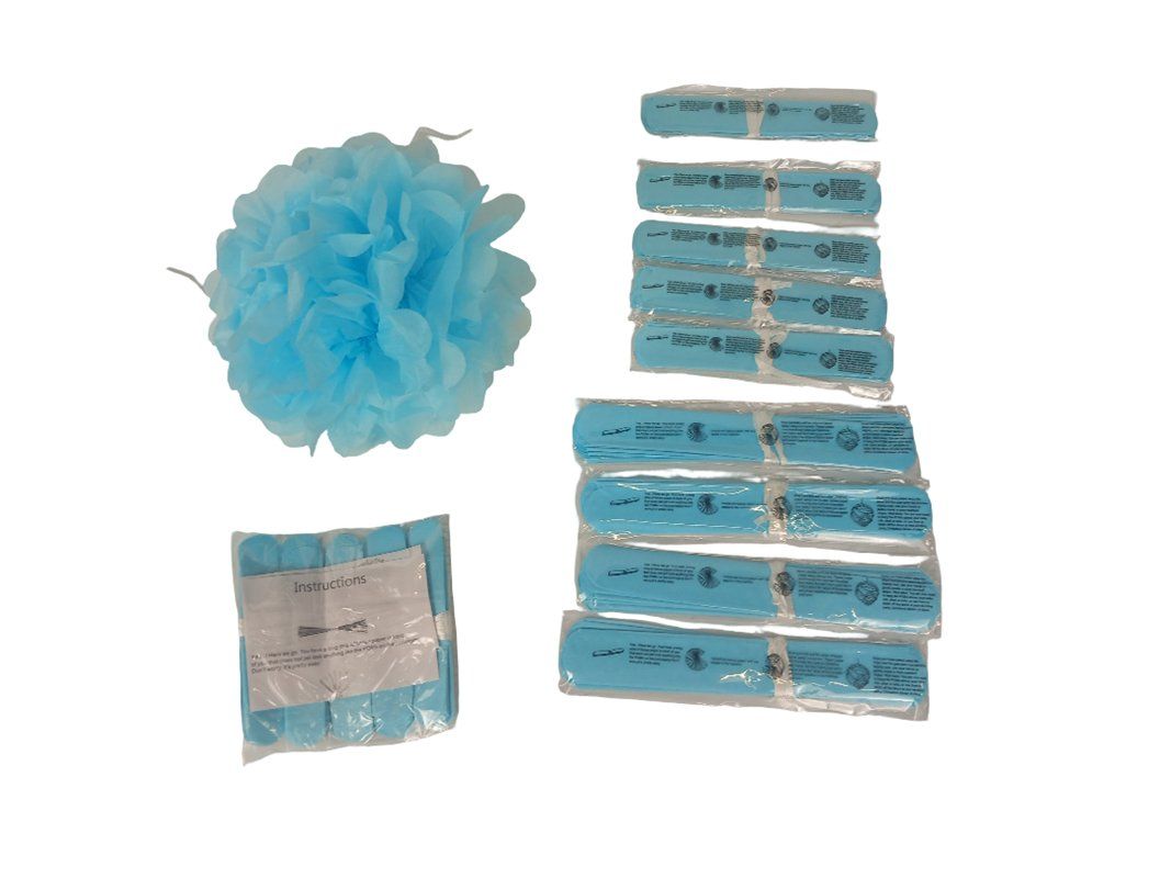 Tutte le decorazioni: Papier Pompons hellblau 14 Stück – Nuovo e nell'imballaggio originale da Hünenberg venduto da Restwert_Zug 1
