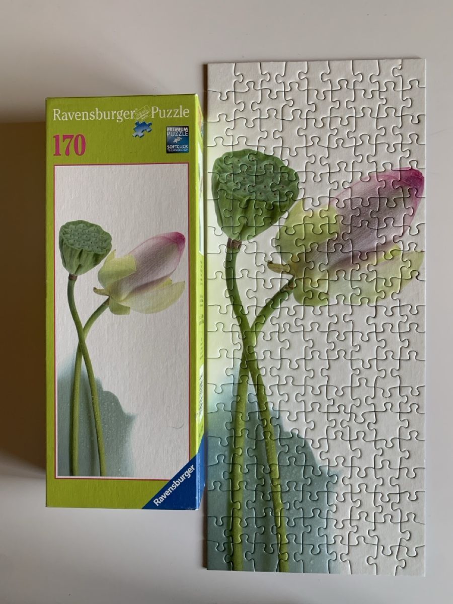 Puzzles: 2 Puzzles 🧩 Ravensburger (170 pièces ) – Neu (gemäss Beschreibung) aus Prilly von Sissi_1009 7