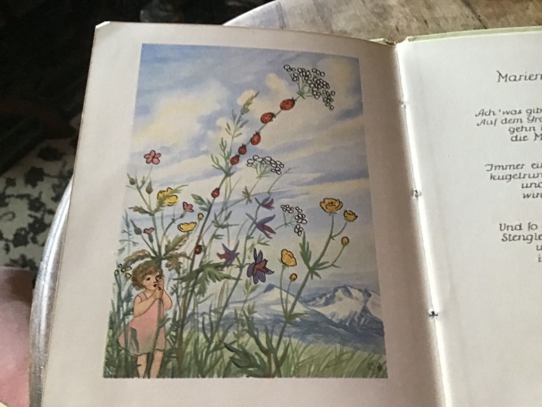 Libri: Altes Kinderbuch  Wichtelbärtchen – Usato da St. Gallen venduto da Goldlilly 1