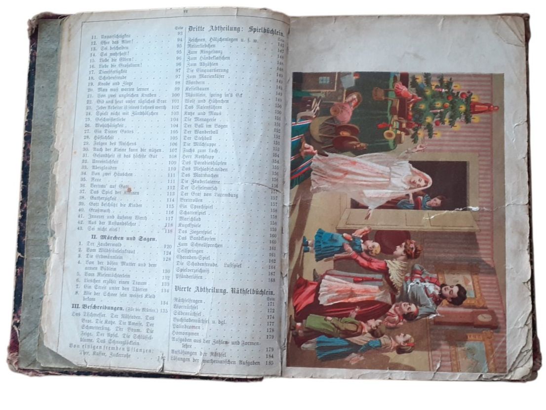 Libri: J. Staub Kinderbuch 1880 – Usato da Mörschwil venduto da lindaswunderkiste
