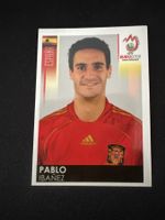 Panini UEFA EM 2008 Sticker - Nr. 418