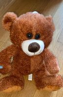 Teddybär Plüschtier